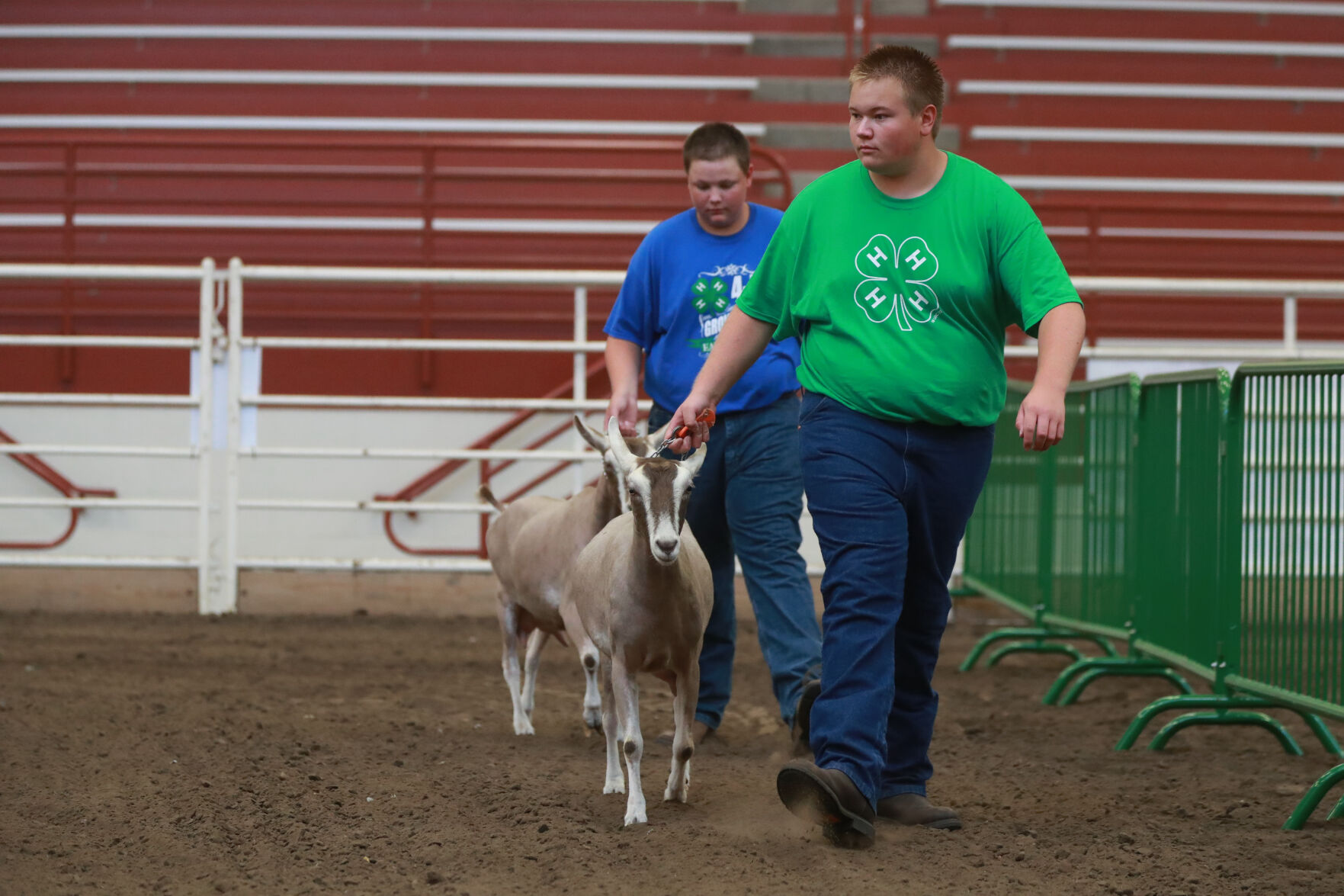 072320_HCFGoatShow007_bjs.JPG